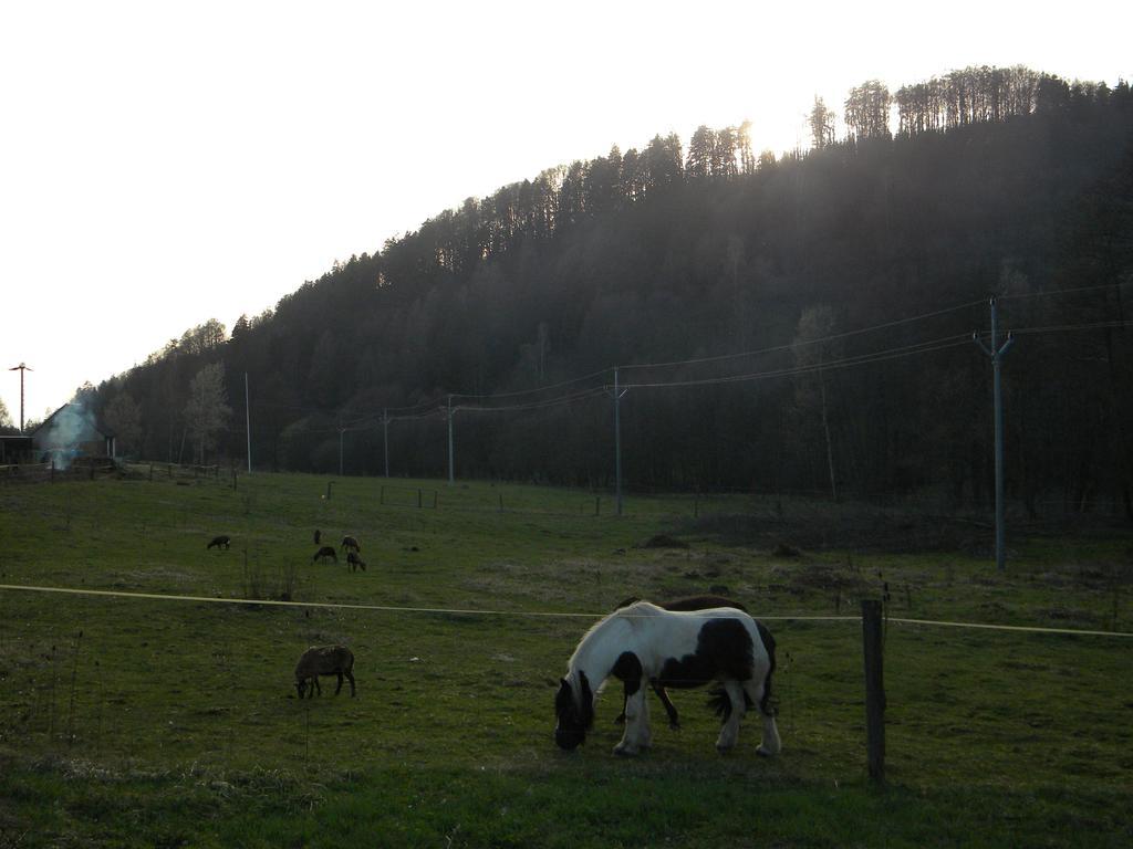 A Skipark Hraběšice